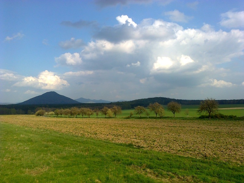 archiv___2014___000m_ruzak1
