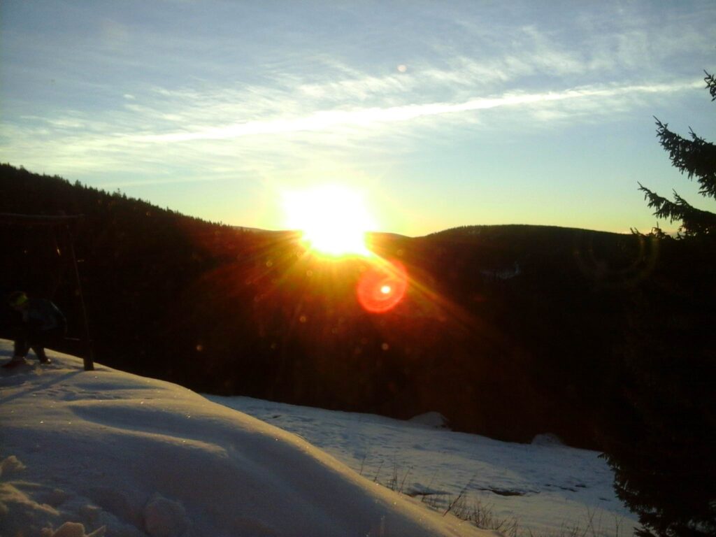 archiv___2015___LOBotomie