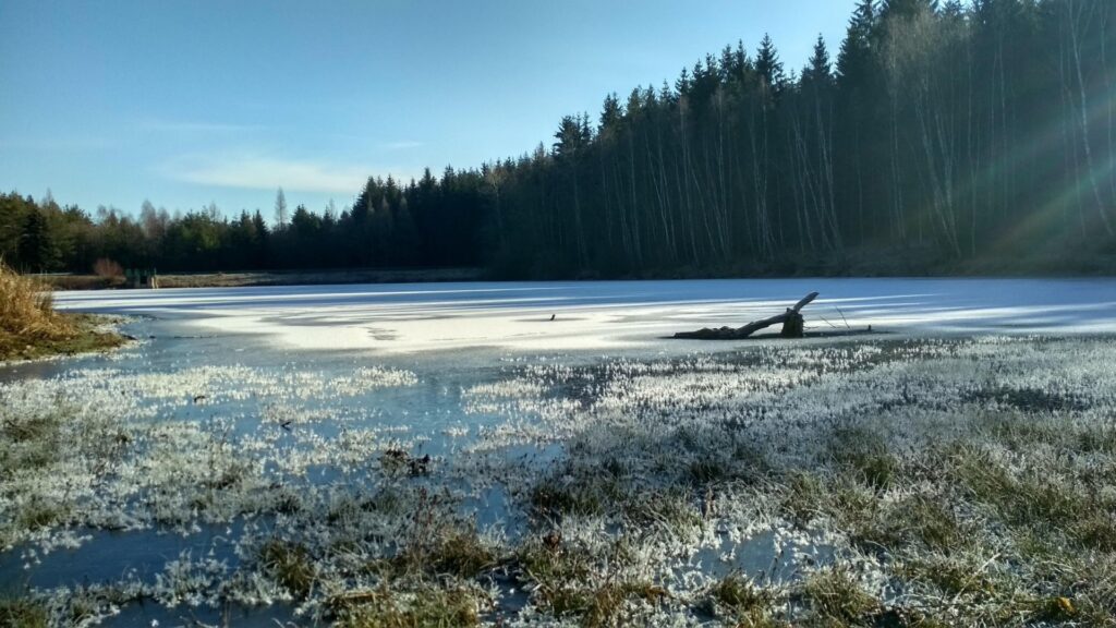 archiv___2019___img_20190119_121217_hdr-1