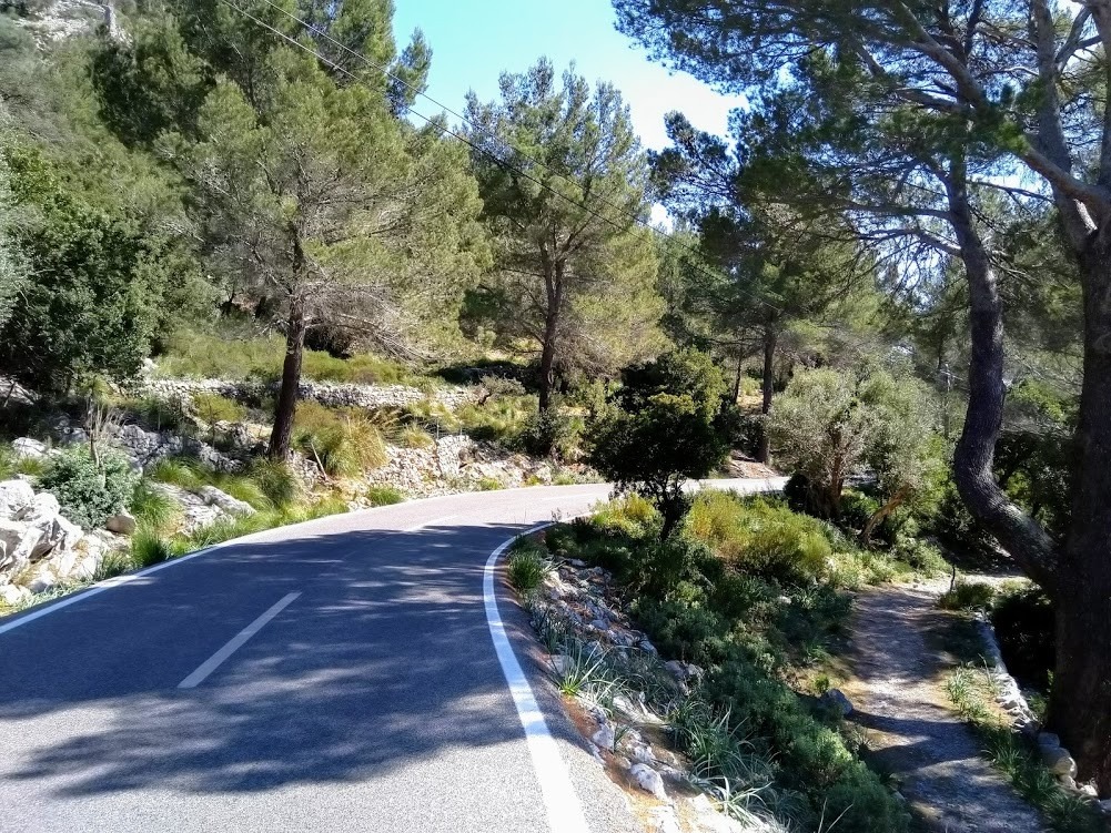 archiv___2020___mallorca2020