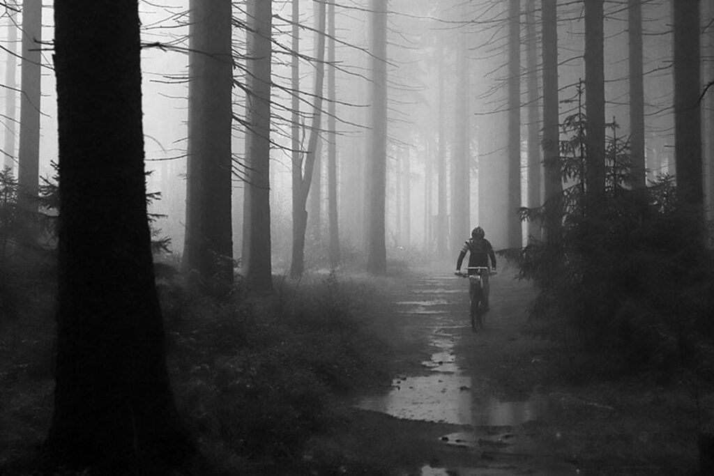 archiv___2020___foggy-biker-1