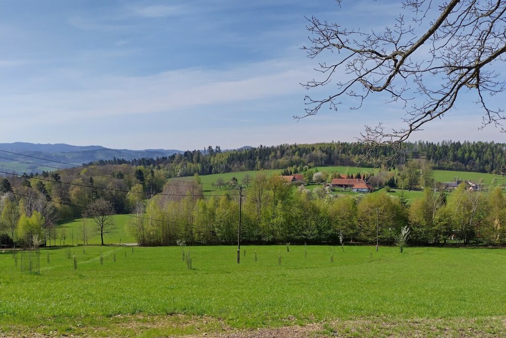 archiv___2023___cp-4-5-zasova___panorama