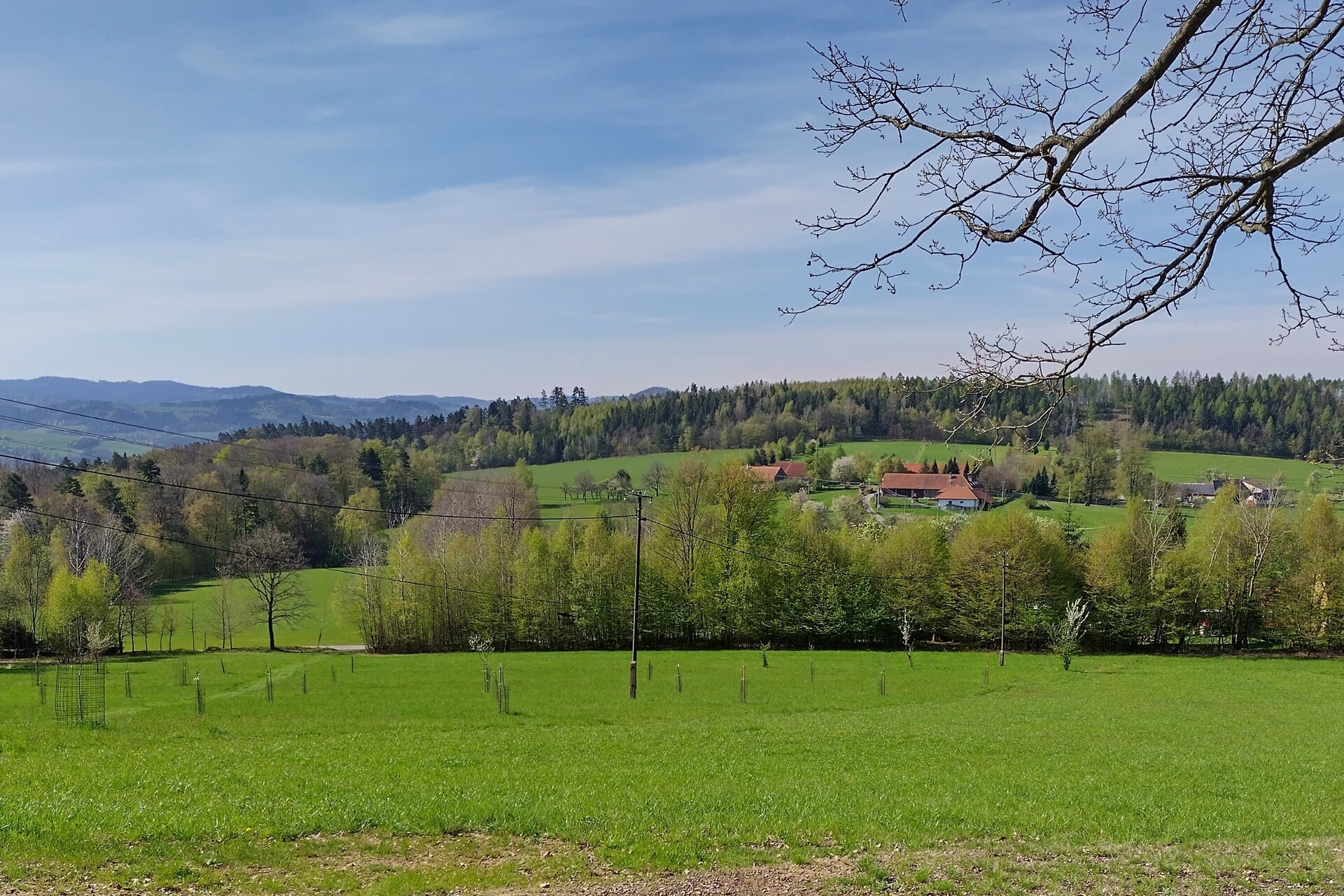 archiv___2023___cp-4-5-zasova___panorama