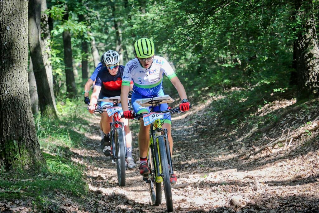 archiv___2024___cp-10-12-sopron___mass-m20