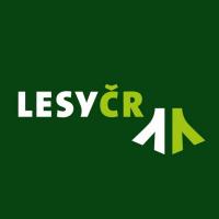 headline_20250325081156-1