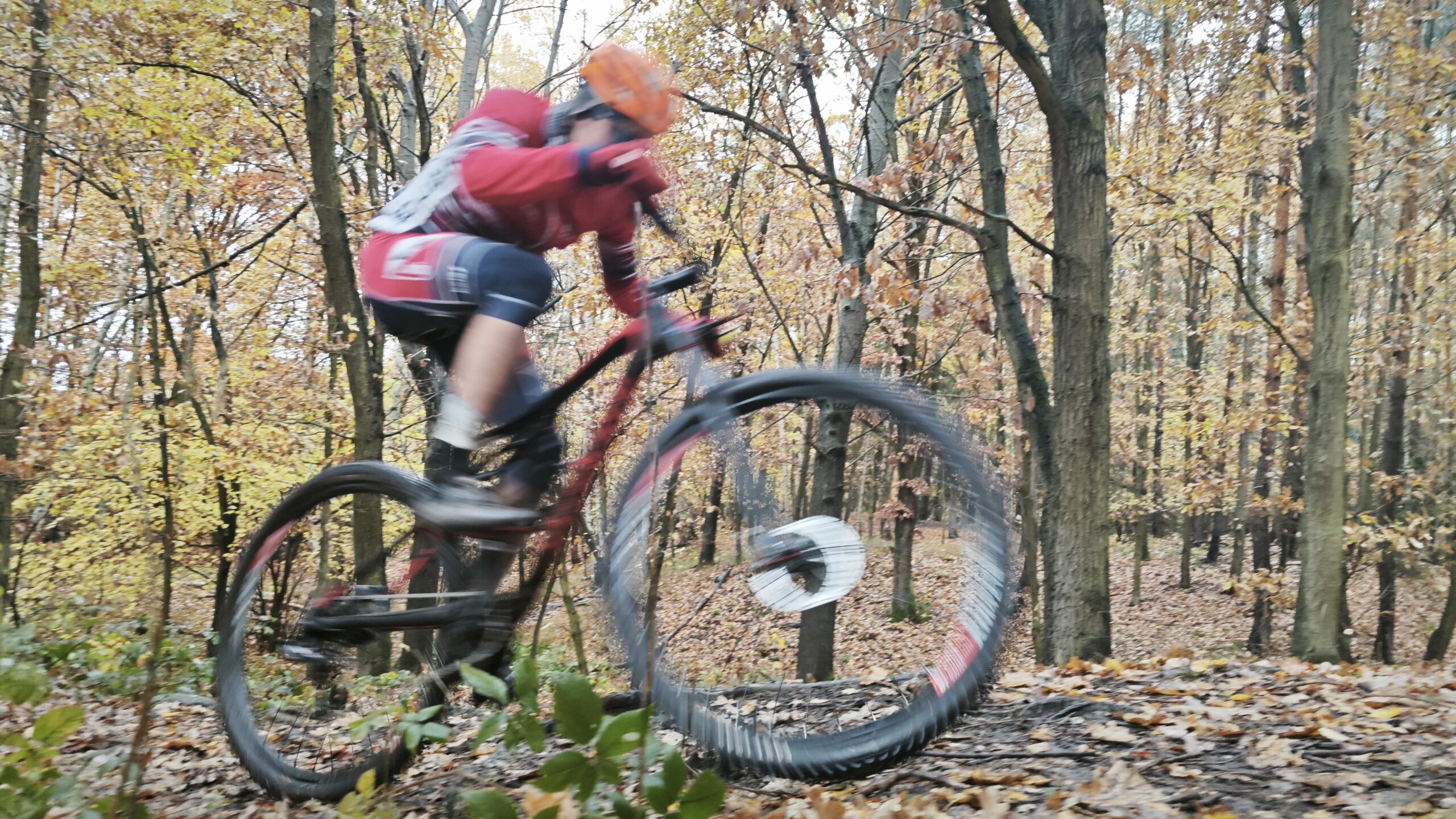 cross country test při srovnávacích testech mládeže MTBO