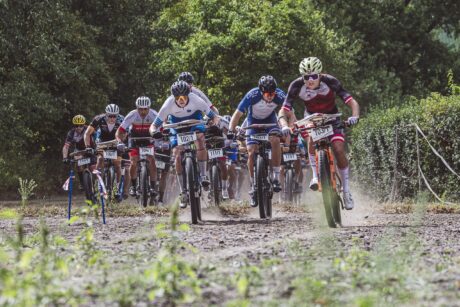 WMTBOC-8-z-10-scaled-1